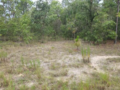 Lot 10 SW 123rd Terrace, Dunnellon, FL 34432