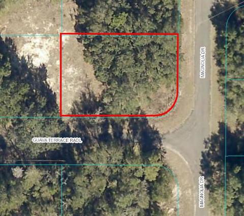 10 Magnolia Drive, Ocklawaha, FL 32179