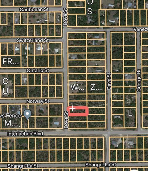 222 Dove St, Interlachen, FL 32148 photo 1