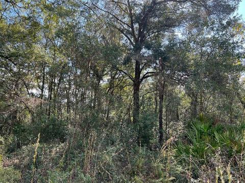 0 SW 53rd Pl, Ocala, FL 34481