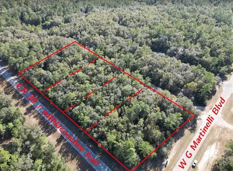 346 E Withlacoochee Trl, Citrus Springs, FL 34434