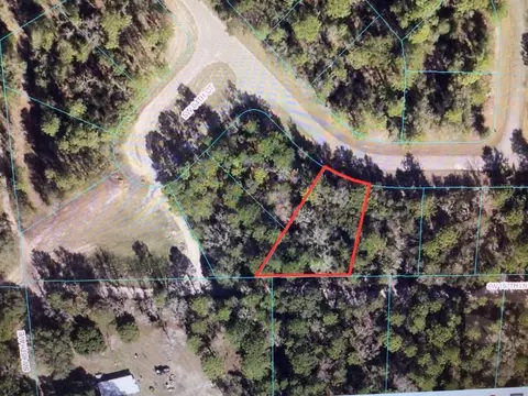 SW 60th Circle, Ocala, FL 34473 photo 2