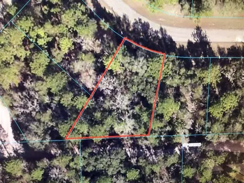 SW 60th Circle, Ocala, FL 34473 photo 3