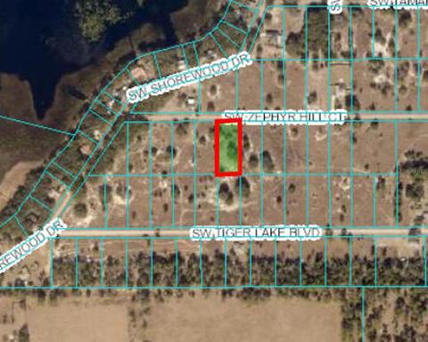 Tbd SW Zephyrhill Court, Dunnellon, FL 34431