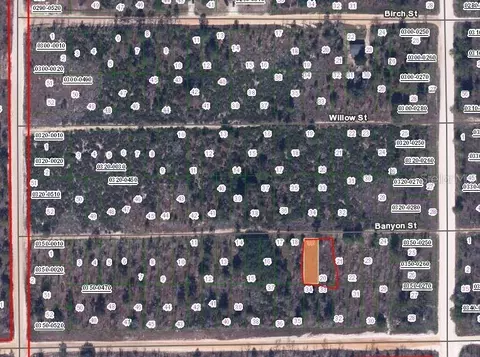 Banvon, Interlachen, FL 32148 photo 2