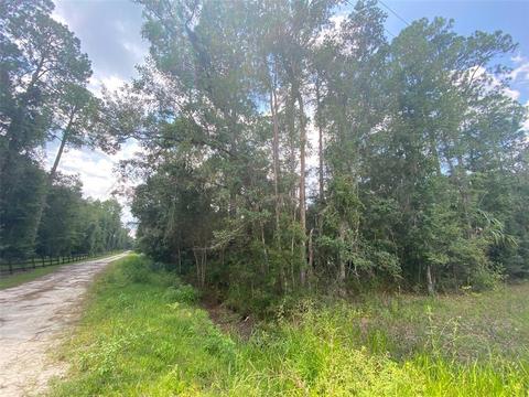 6711 NE 137th Pl, Citra, FL 32113