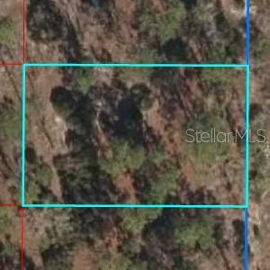 0 NE 150th Ct, Williston, FL 32696