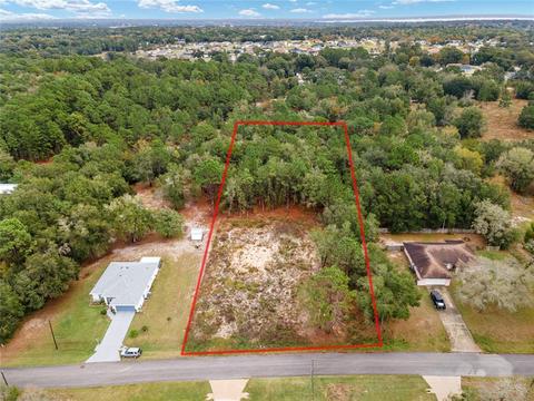 SE 97th Avenue, Belleview, FL 34420