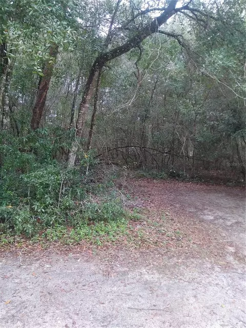 00 NE 147th Ct, Silver Springs, FL 34488