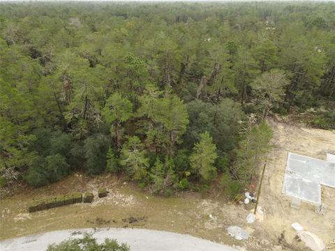 SW 44th Circle, Ocala, FL 34473