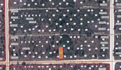 00 Main St, Interlachen, FL 32148 photo 2