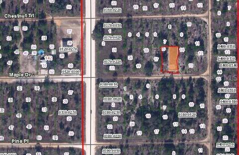 00 Maple Dr, Interlachen, FL 32148 photo 2