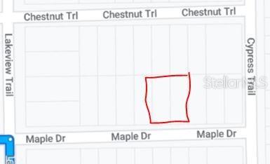 00 Maple Dr, Interlachen, FL 32148 photo 3