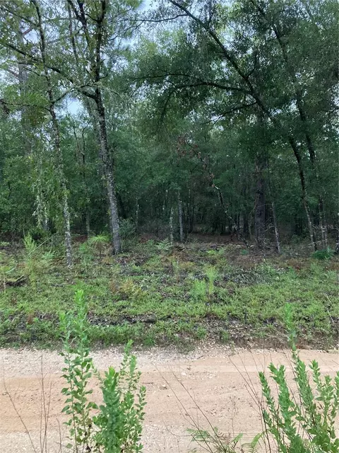 Tbd NE 95th Avenue, Bronson, FL 32621