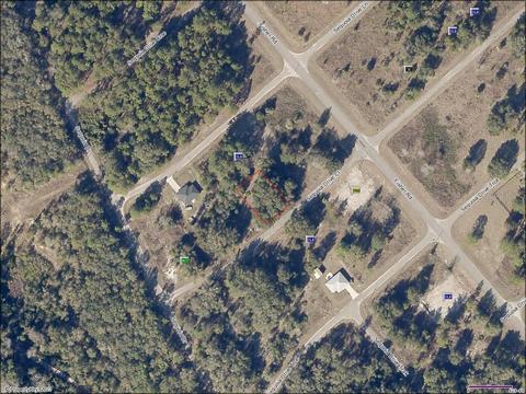 Tbd Sequoia Drive Court, Ocklawaha, FL 32179