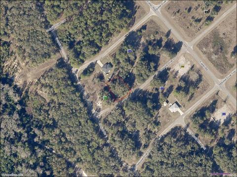 Tbd Sequoia Drive Court, Ocklawaha, FL 32179