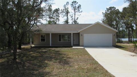 42 Fisher Pass, Ocklawaha, FL 32179