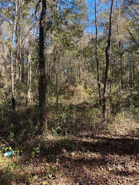17091 N Highway 329, Reddick, FL 32686 photo 1
