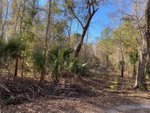 0 NW Hwy 320, Micanopy, FL 32667