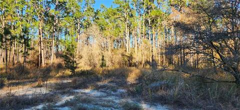 Tbd SW 131st Place, Ocala, FL 34473