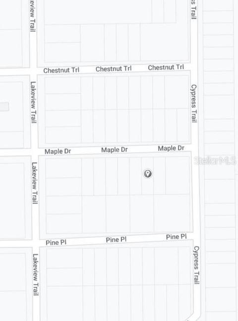 Maple Drive, Interlachen, FL 32148 photo 3