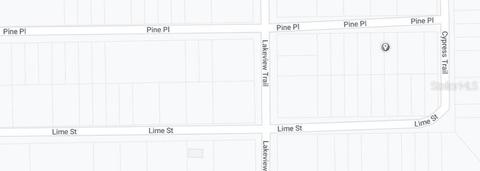 00 Pine Pl, Interlachen, FL 32148 photo 3
