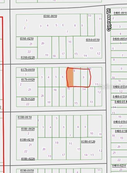 00 Chestnut Trl, Interlachen, FL 32148