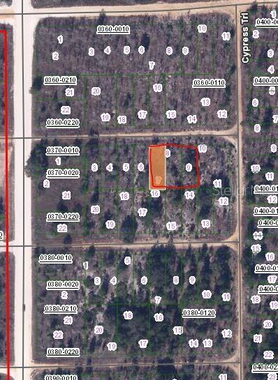 00 Chestnut Trl, Interlachen, FL 32148 photo 2