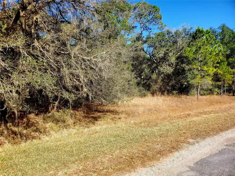 Tbd NE 153rd Street, Fort Mc Coy, FL 32134