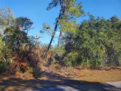 Tbd SW 27th Circle, Ocala, FL 34473
