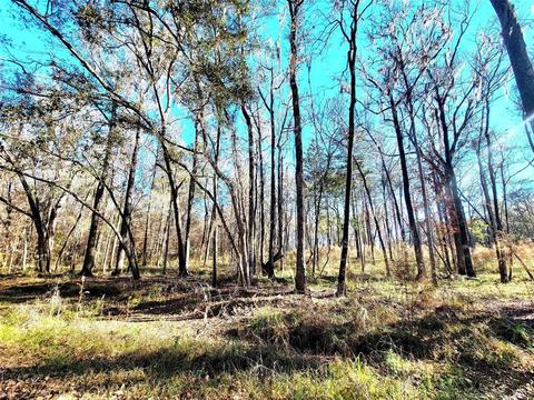 Tbd NW 146 Avenue, Williston, FL 32696