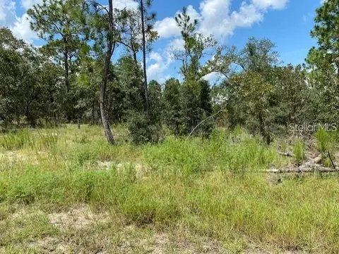 SW Nectarine Lane, Dunnellon, FL 34431