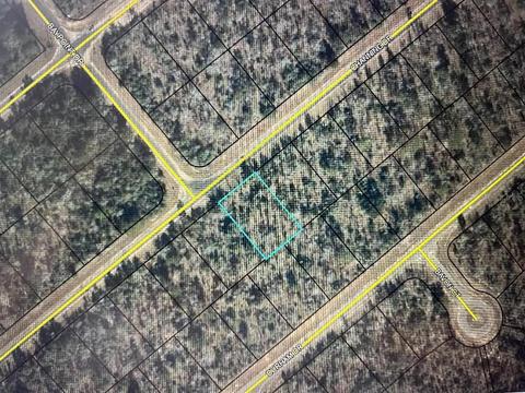 Channing Drive, Chipley, FL 32428