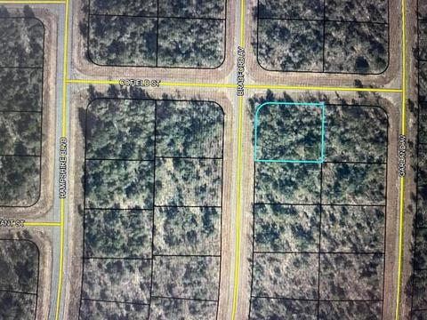 Bradford Avenue, Chipley, FL 32428