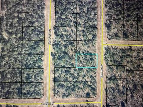 Garland Avenue, Chipley, FL 32428