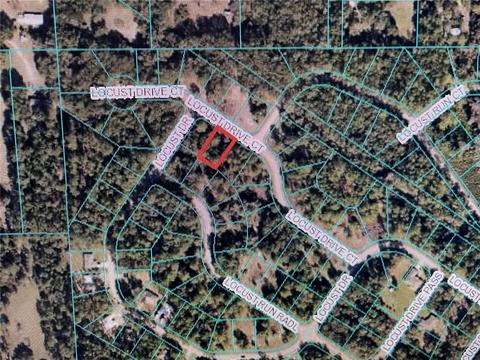 19 Locust Drive Ct, Ocala, FL 34472