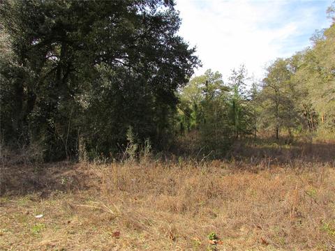 Tbd Us Hwy 41, Dunnellon, FL 34431