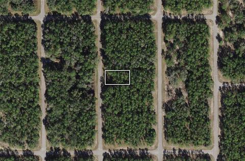 8787 N Sawyer Ter, Citrus Springs, FL 34434