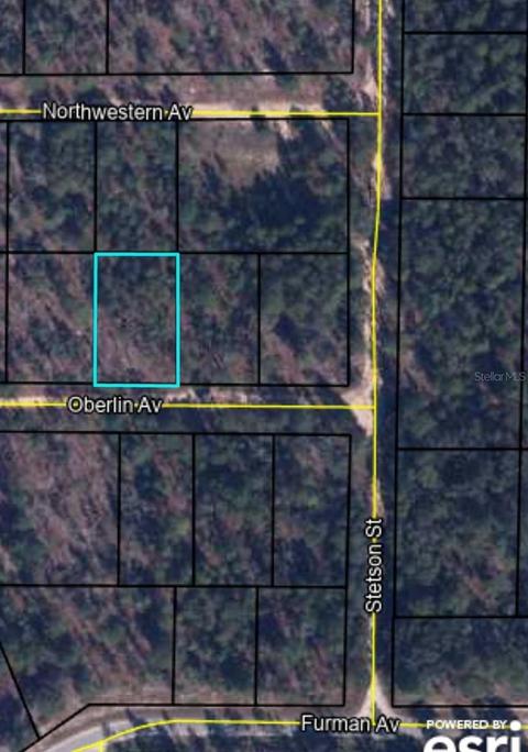 Lot 17 Oberlin Avenue, Keystone Heights, FL 32656