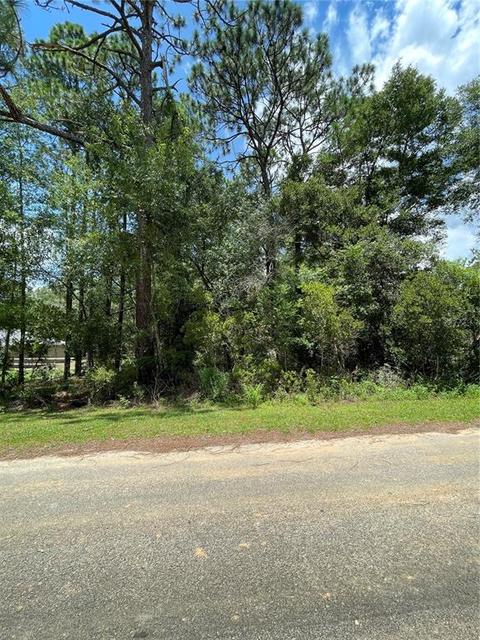 Tbd SW 197th Terrace, Dunnellon, FL 34431