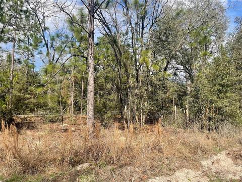 Lot #8 SE 73rd Place, Morriston, FL 32668