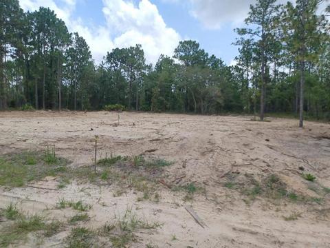 31 Pagoda Dr, Homosassa, FL 34446