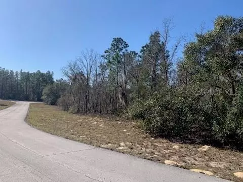 5 SW 139 Pl Rd, Ocala, FL 34473