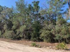 21 SW 157th Ln, Dunnellon, FL 34432