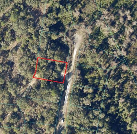 00 Hickory Track Dr, Ocala, FL 34472