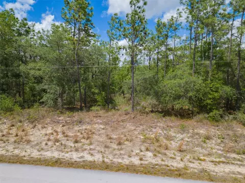 Lot 29 SW Edgewater Boulevard, Dunnellon, FL 34431