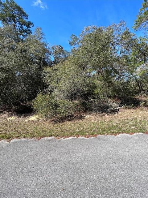 SW 41st Court, Ocala, FL 34473