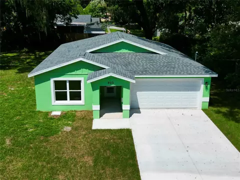 803 Osceola Ave, Wildwood, FL 34785