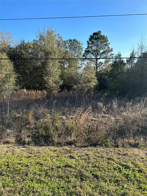 Eagle Drive Sw, Dunnellon, FL 34431
