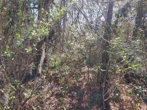 11060 NE 64th Pl, Williston, FL 32696